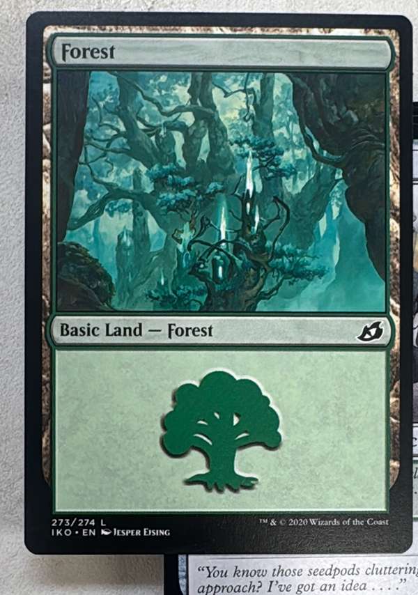 Forest (572)