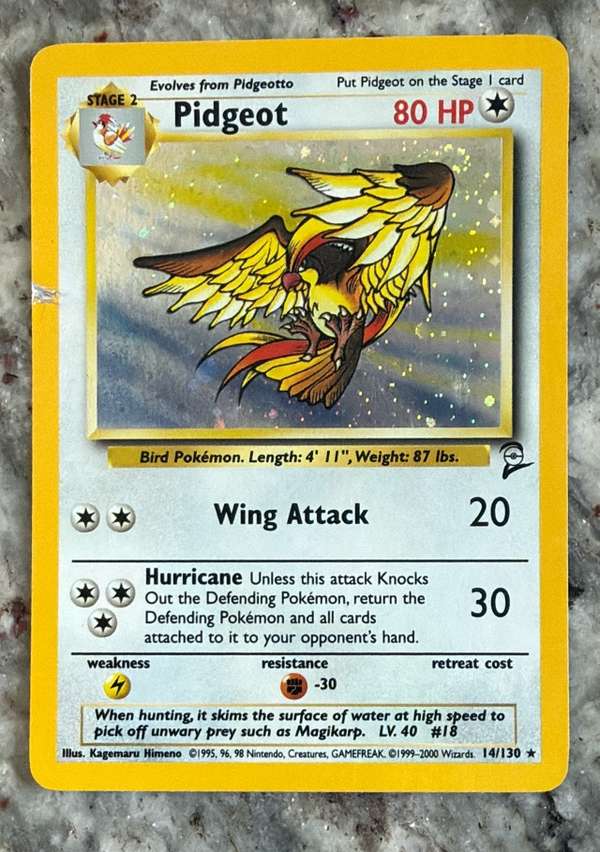 Pidgeot (24)