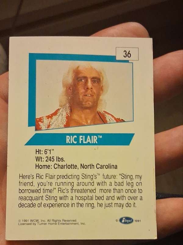 Card back