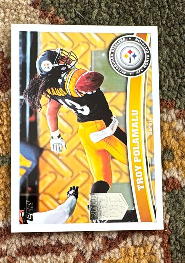 Troy Polamalu