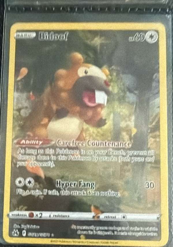 Bidoof