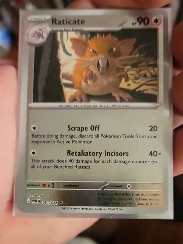 Raticate