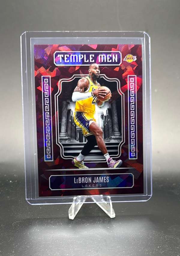 LeBron James