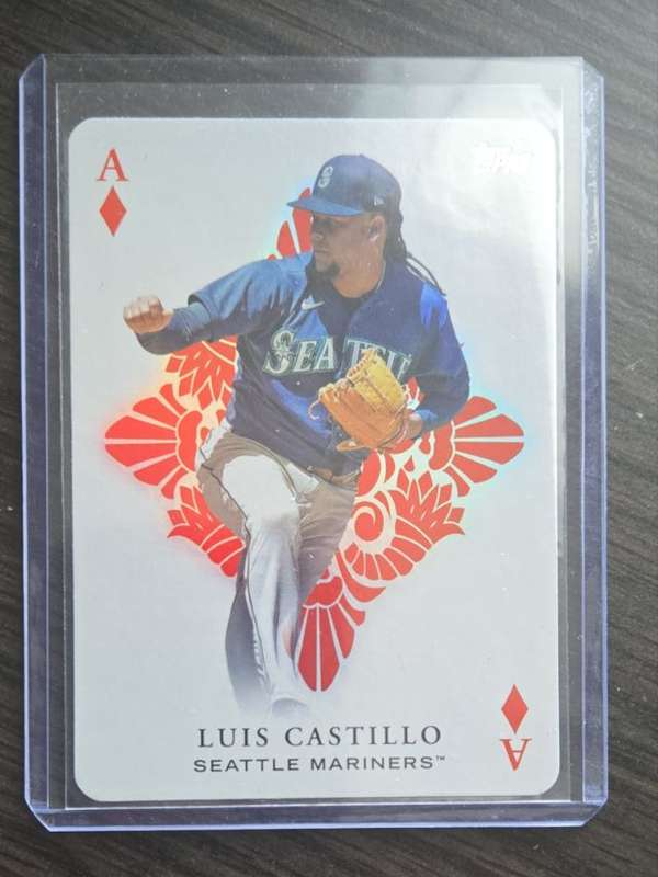 #AA-23 Luis Castillo