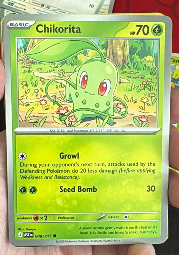 Chikorita