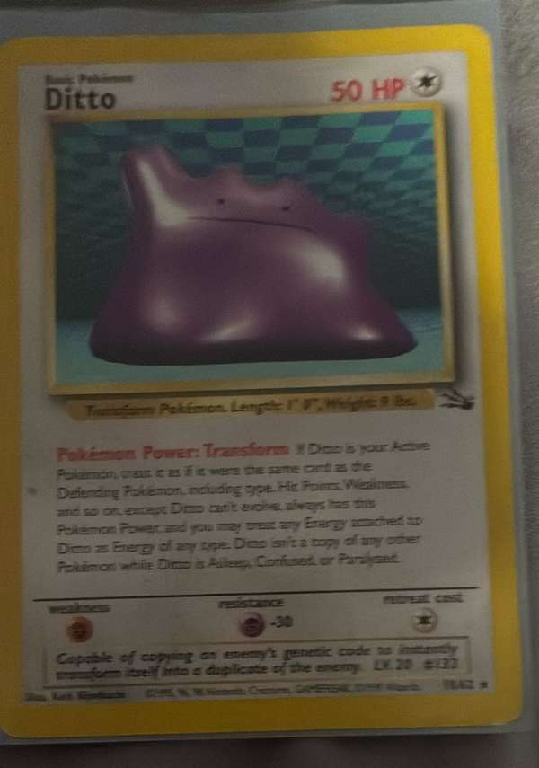 Ditto (18)