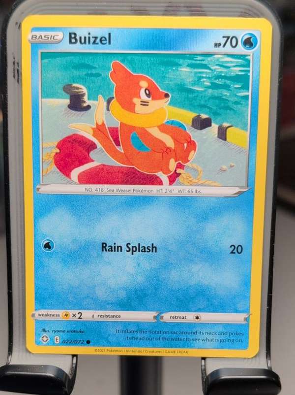 Buizel