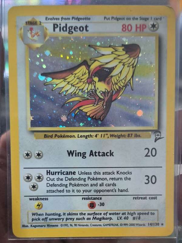 Pidgeot