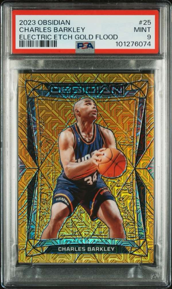 #25 Charles Barkley