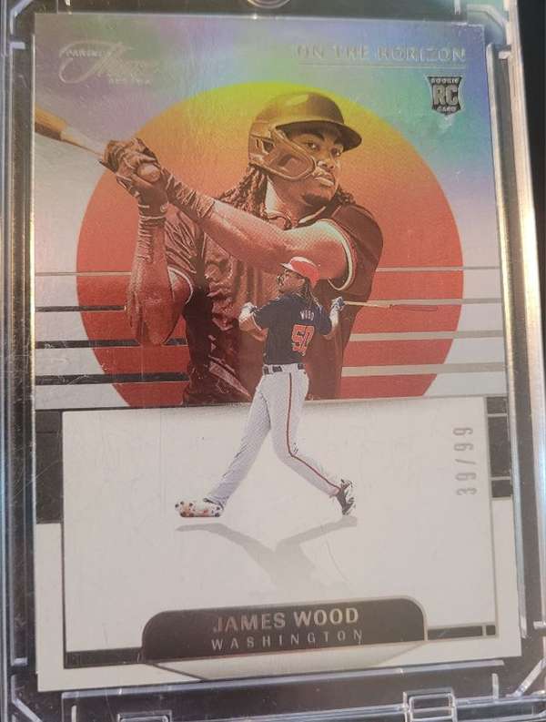 James Wood