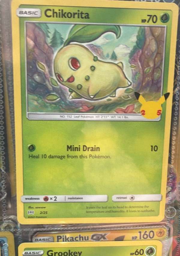 Chikorita (6)