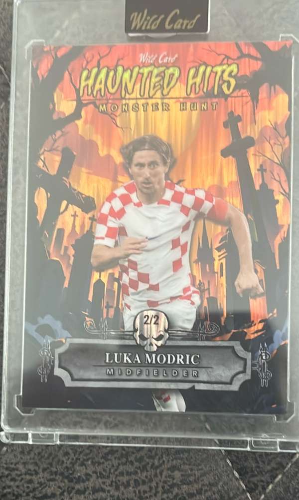 #HHC-LM Luka Modric