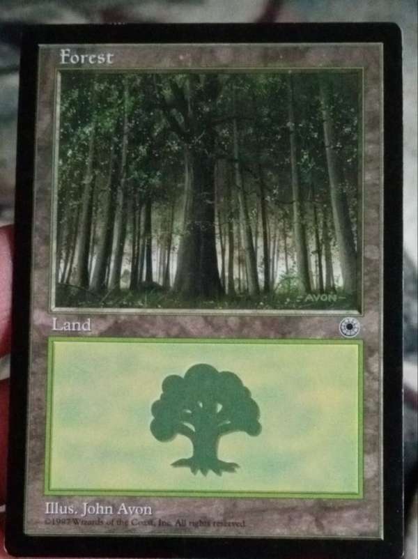 Forest (Pale Trees)