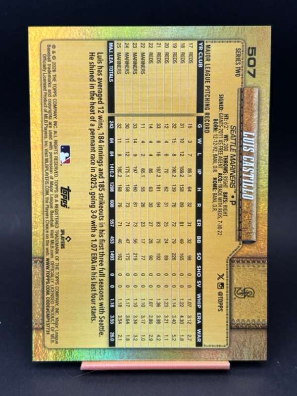 #507 Luis Castillo