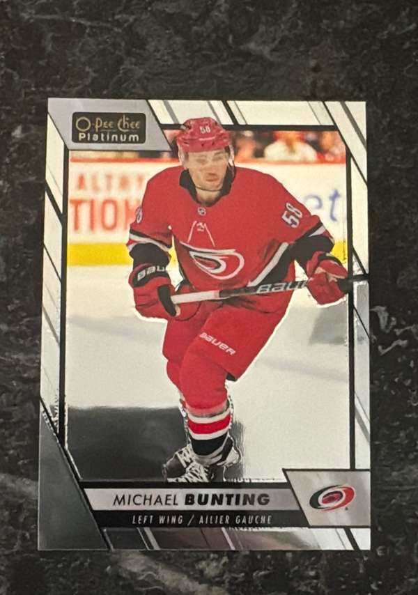Michael Bunting