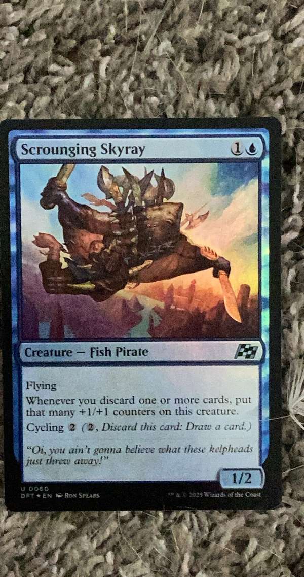 Scrounging Skyray
