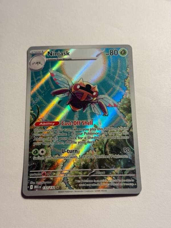 Ninjask