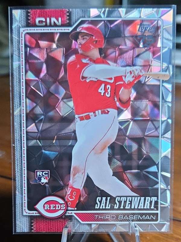 Sal Stewart