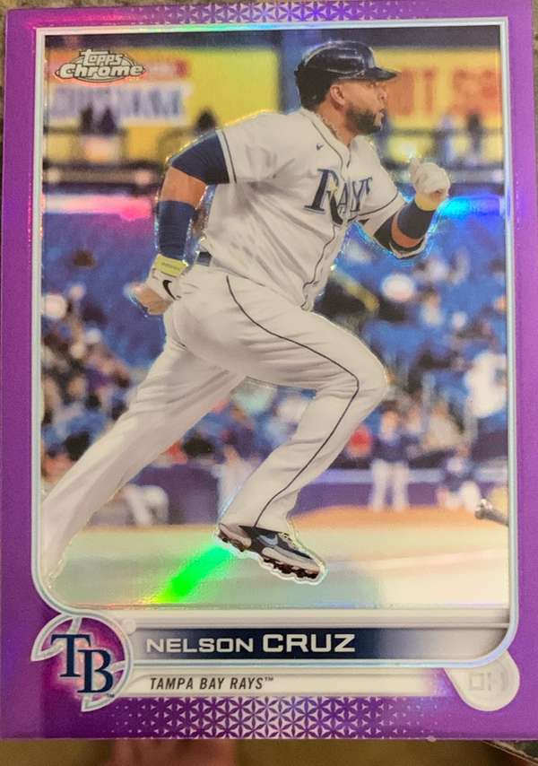 Nelson Cruz