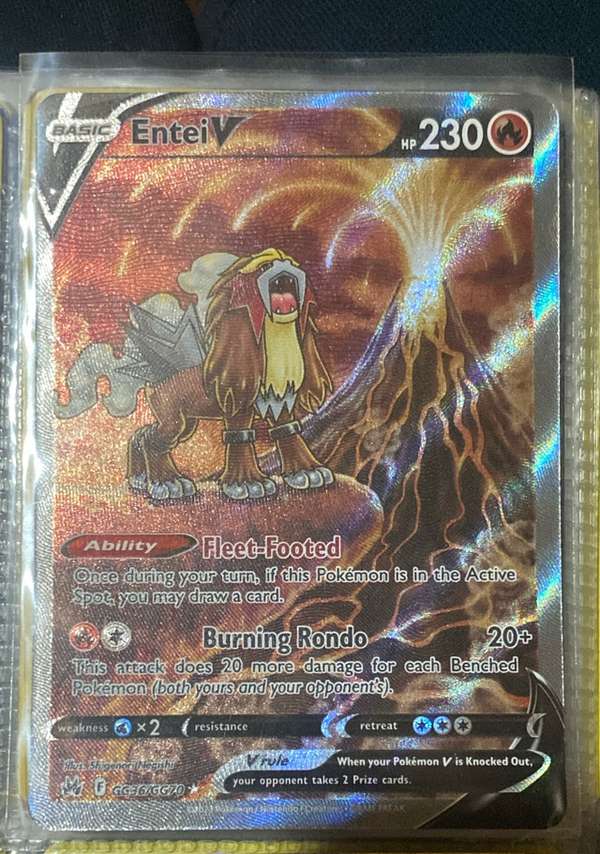 Entei V