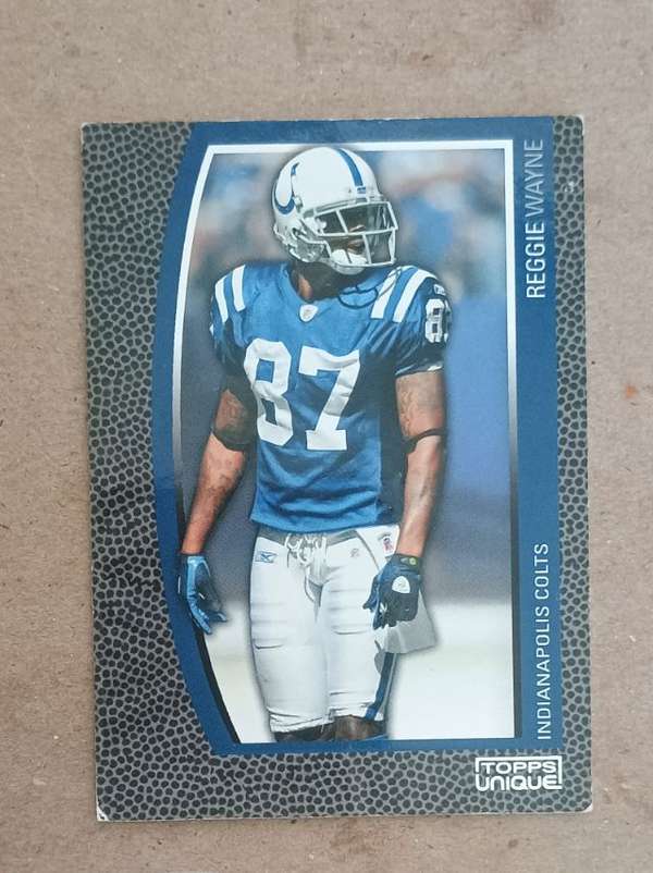 Reggie Wayne