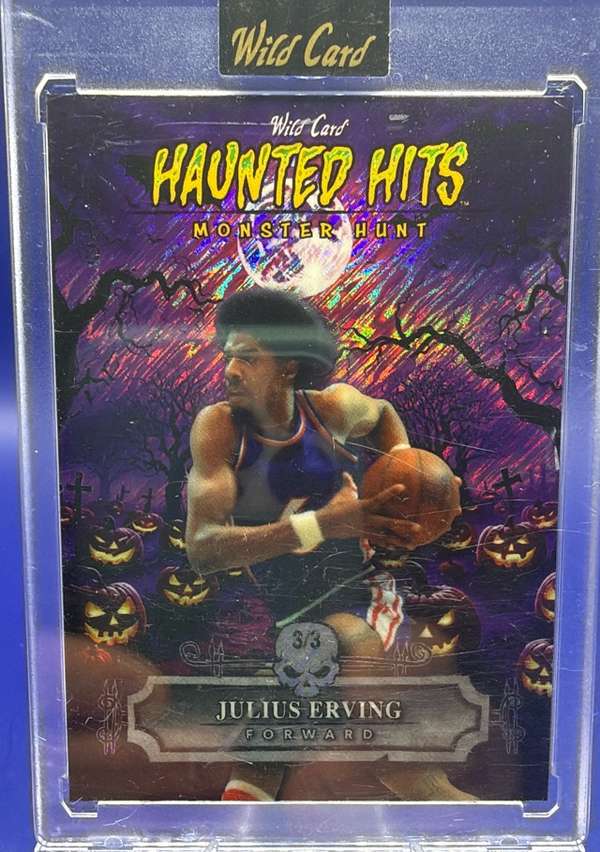 #HHP-JE Julius Erving