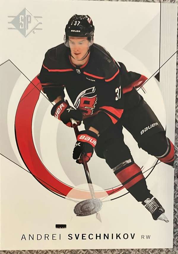 Andrei Svechnikov