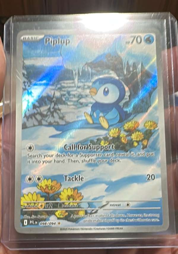 #098/094 Piplup