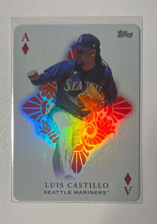 #AA-23 Luis Castillo