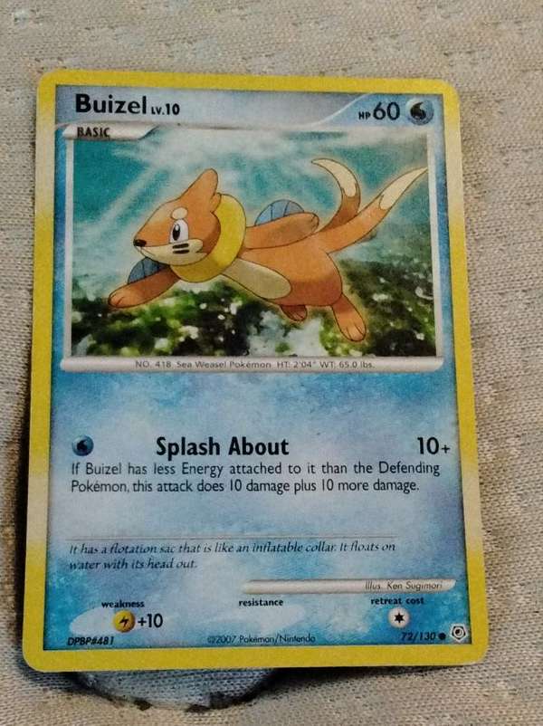 Buizel