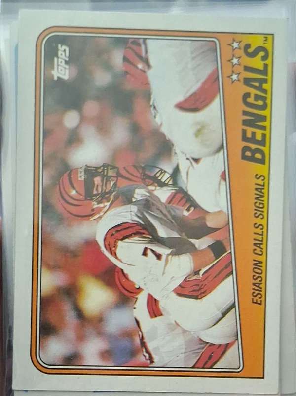 Bengals Team Leaders - Boomer Esiason