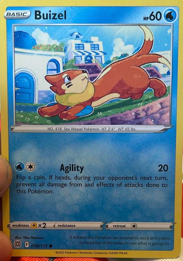 Buizel
