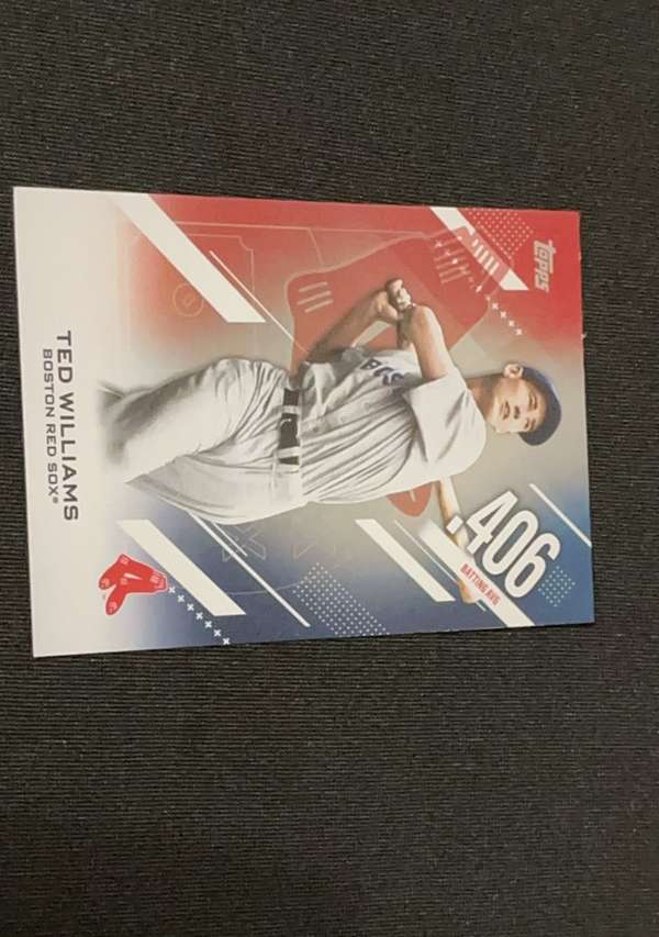 Ted Williams