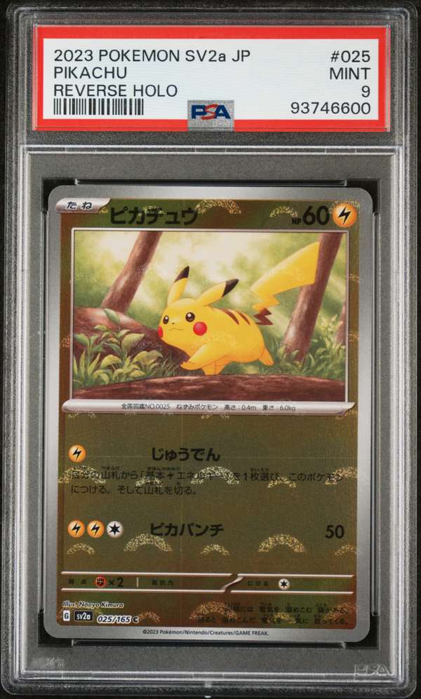 #025 Pikachu