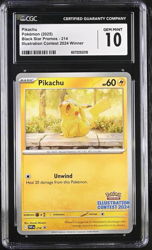 #214 Pikachu