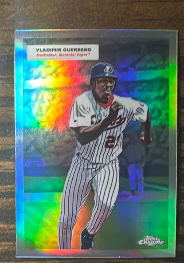 Vladimir Guerrero / Vladimir Guerrero Jr.
