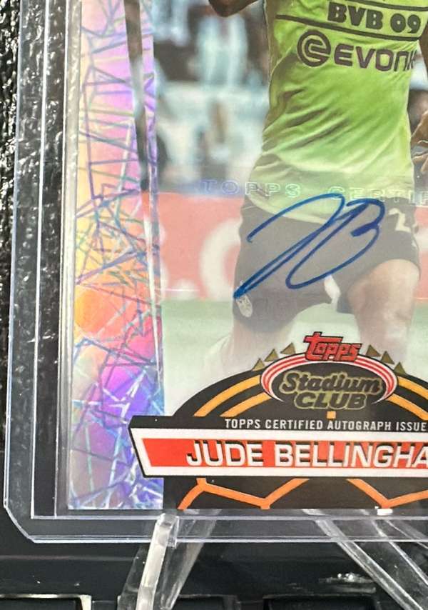 Card image 3