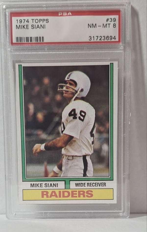 MIKE SIANI