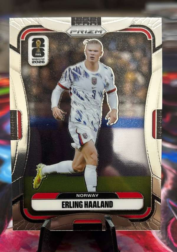 #333 Erling Haaland