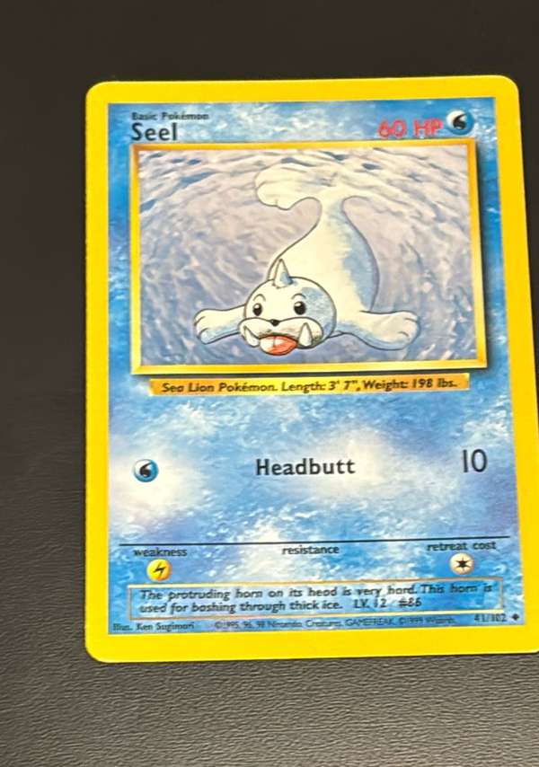 Seel