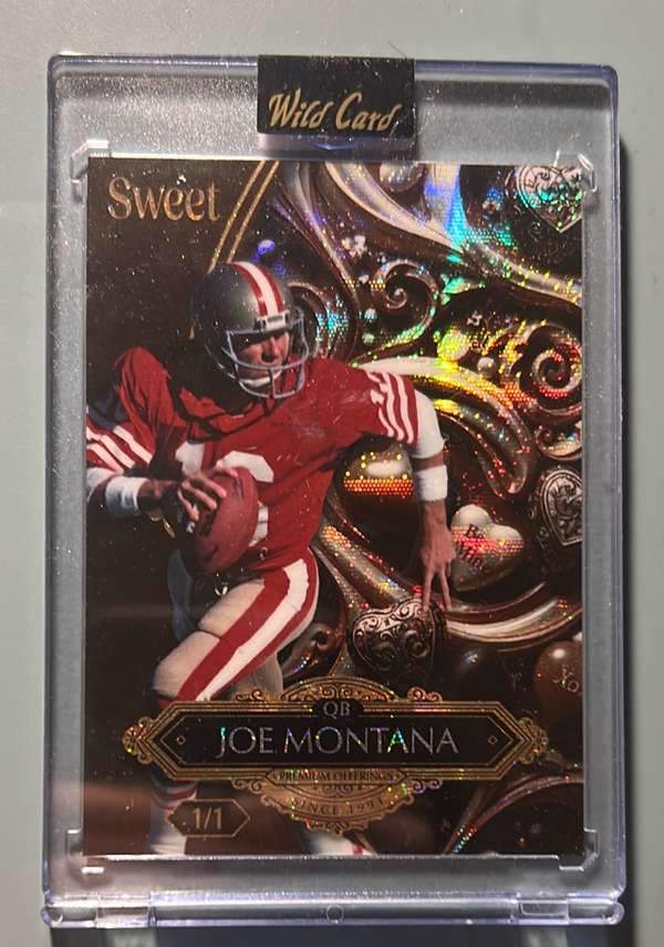 #SWLDC1-JM Joe Montana
