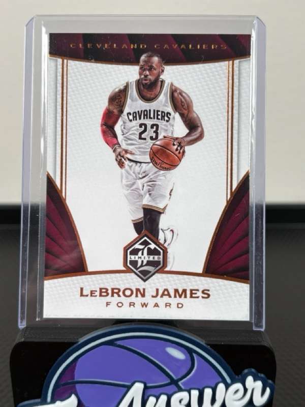 #141 LeBron James