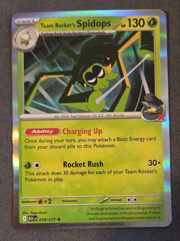 Team Rocket's Spidops