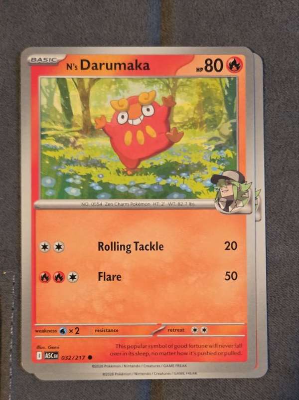 N's Darumaka