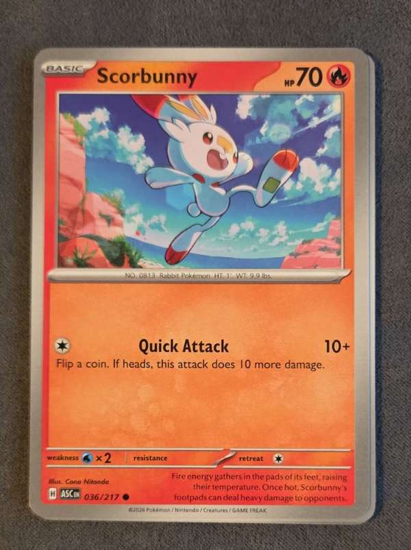 Scorbunny