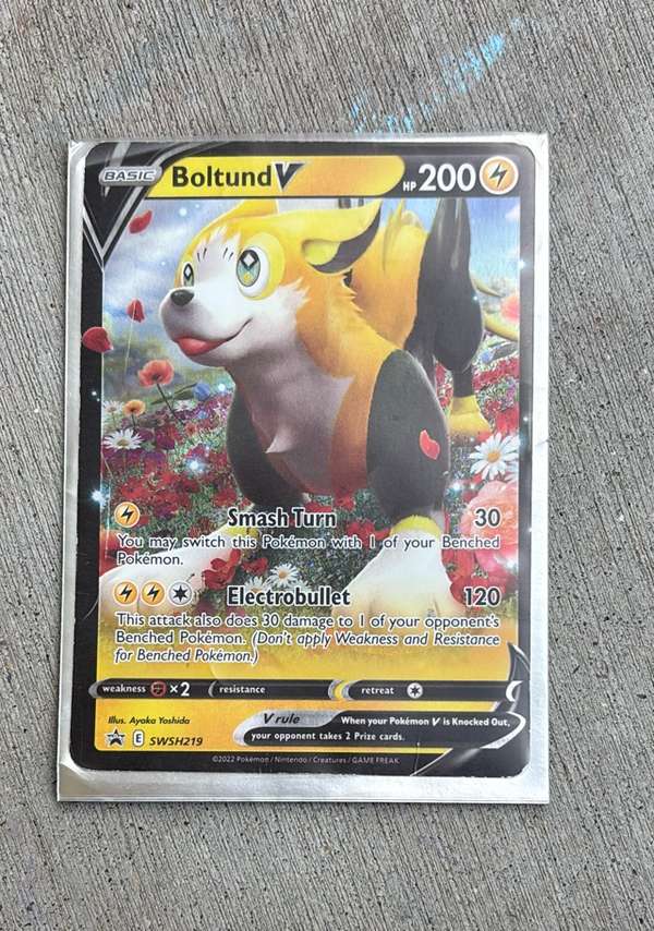 Boltund V