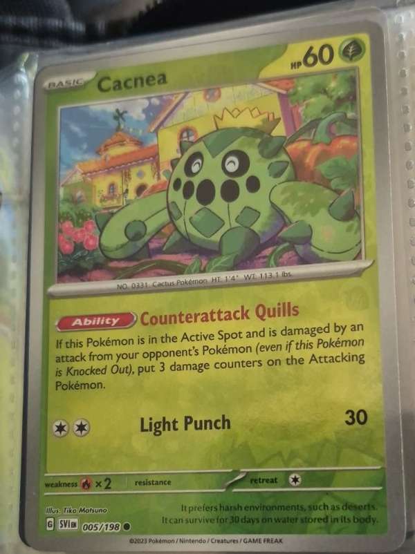 Cacnea