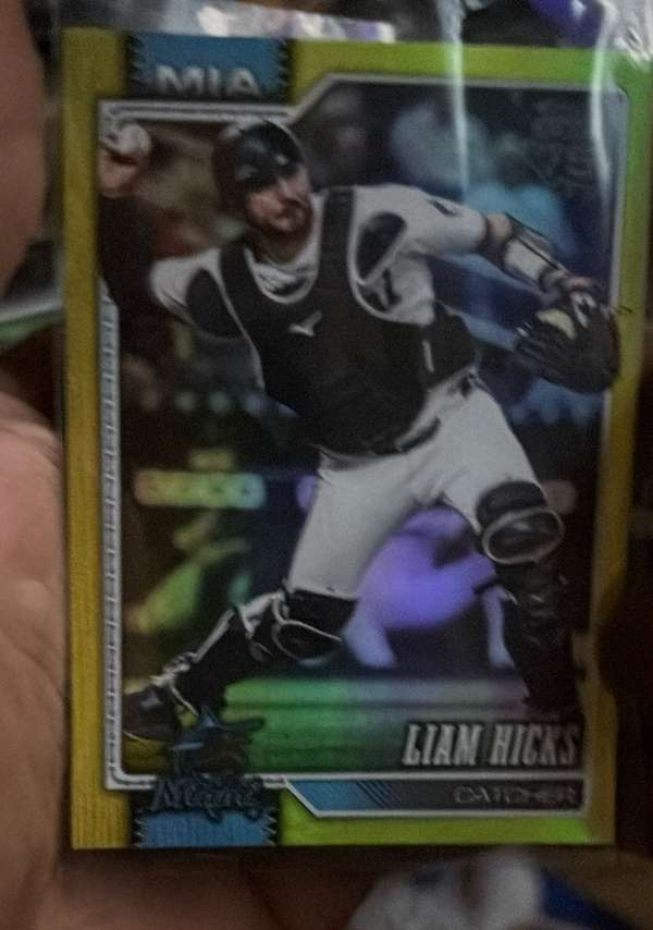 Liam Hicks