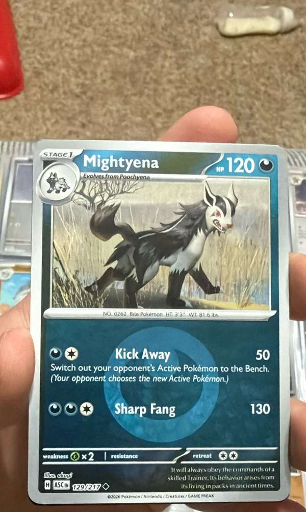 Mightyena