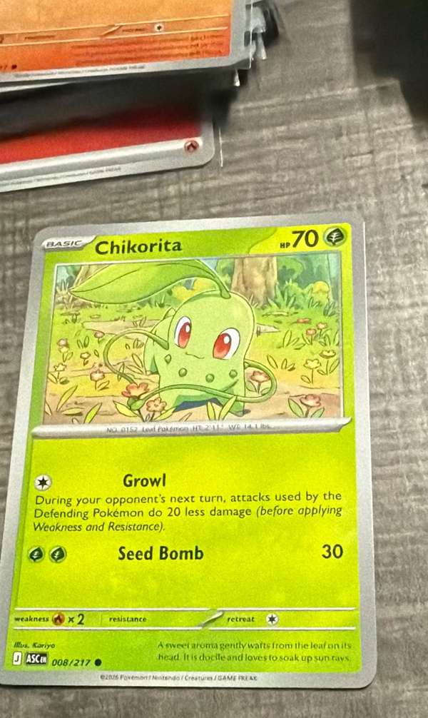 Chikorita
